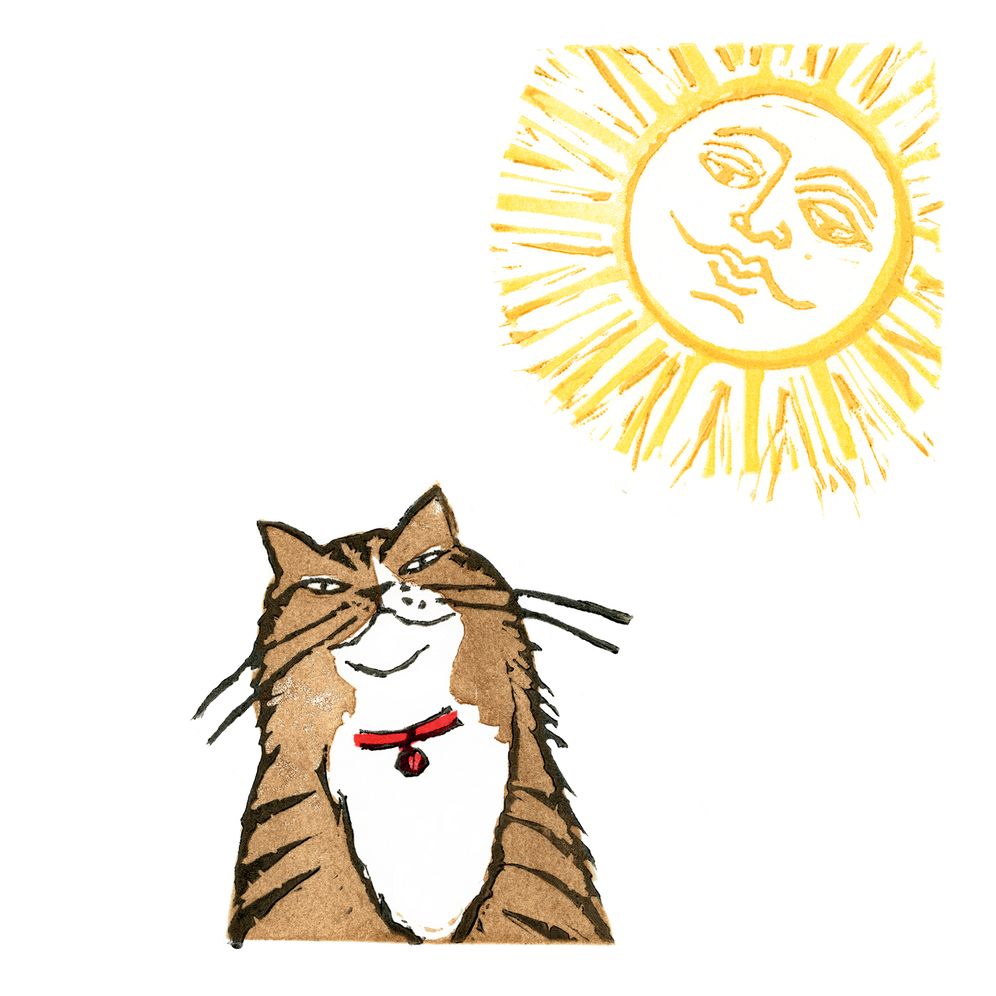 My Sad Cat, My Smug Cat Cards