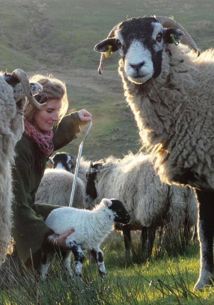 The Yorkshire Shepherdess Notebook