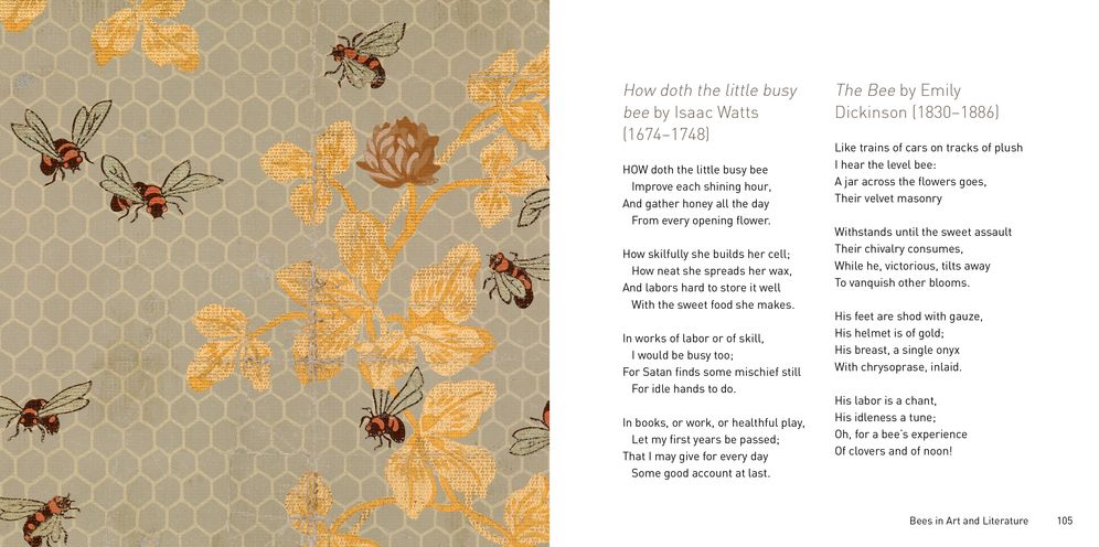 The Bee Book