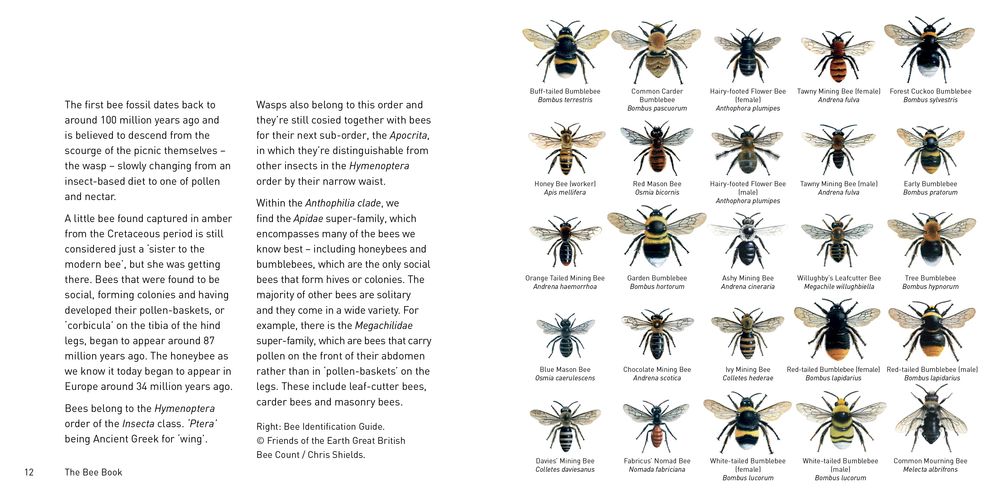 The Bee Book