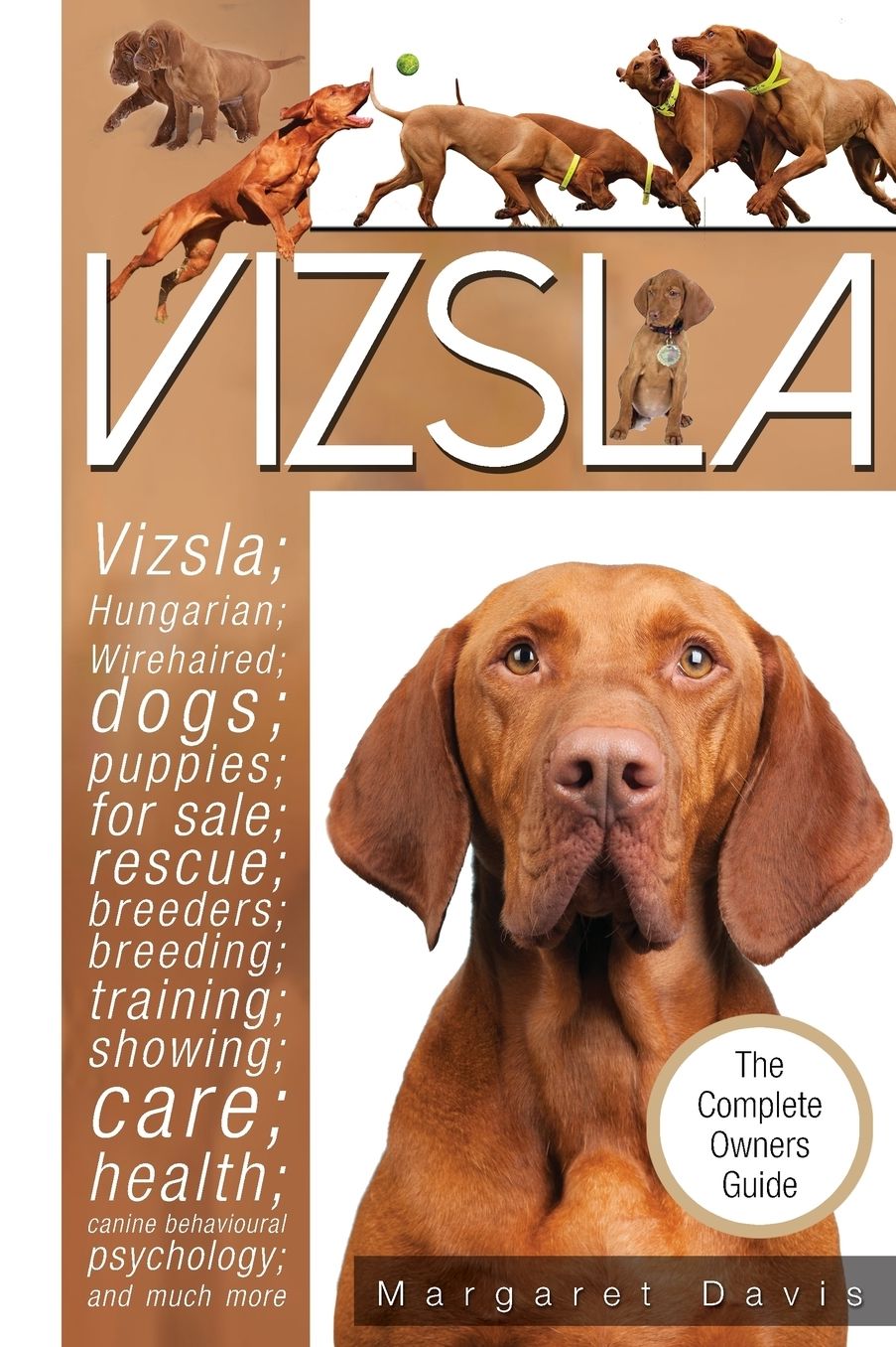 Vizsla