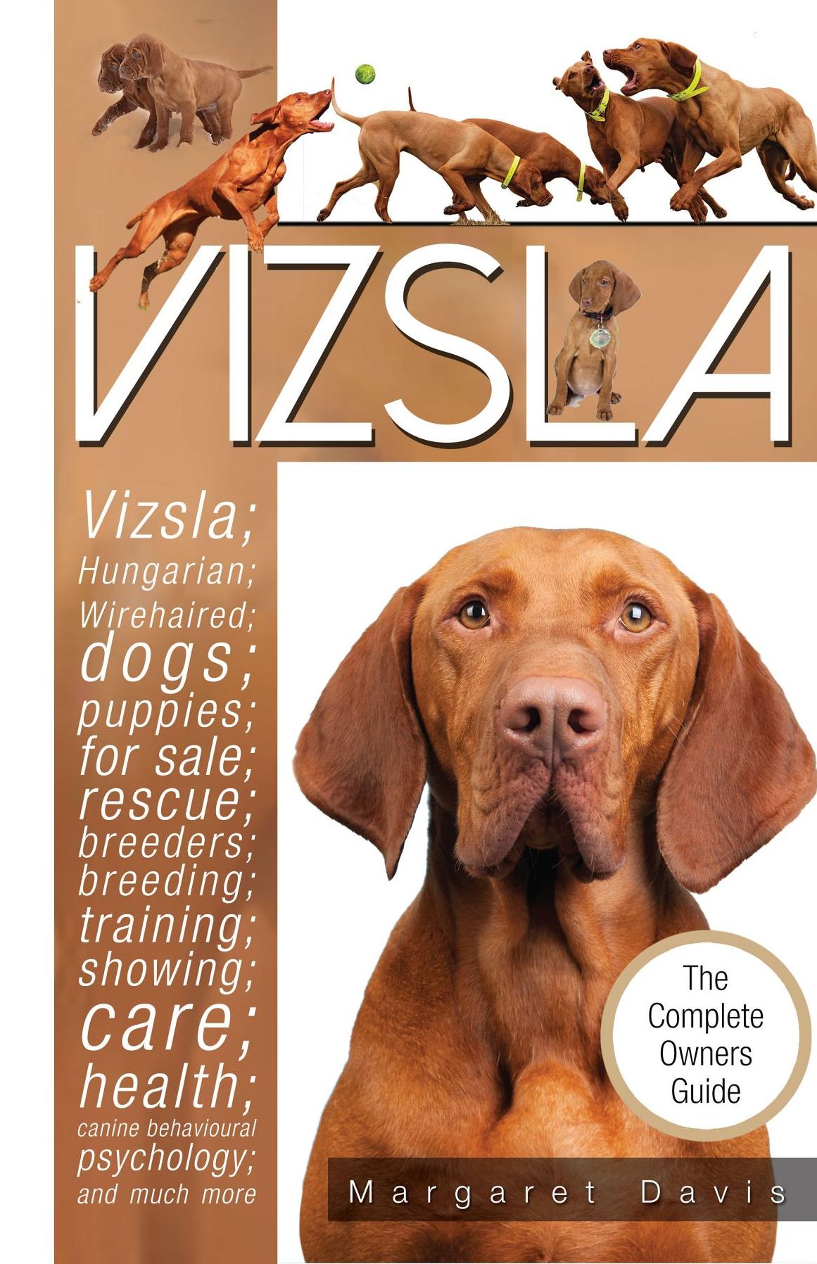 Vizsla