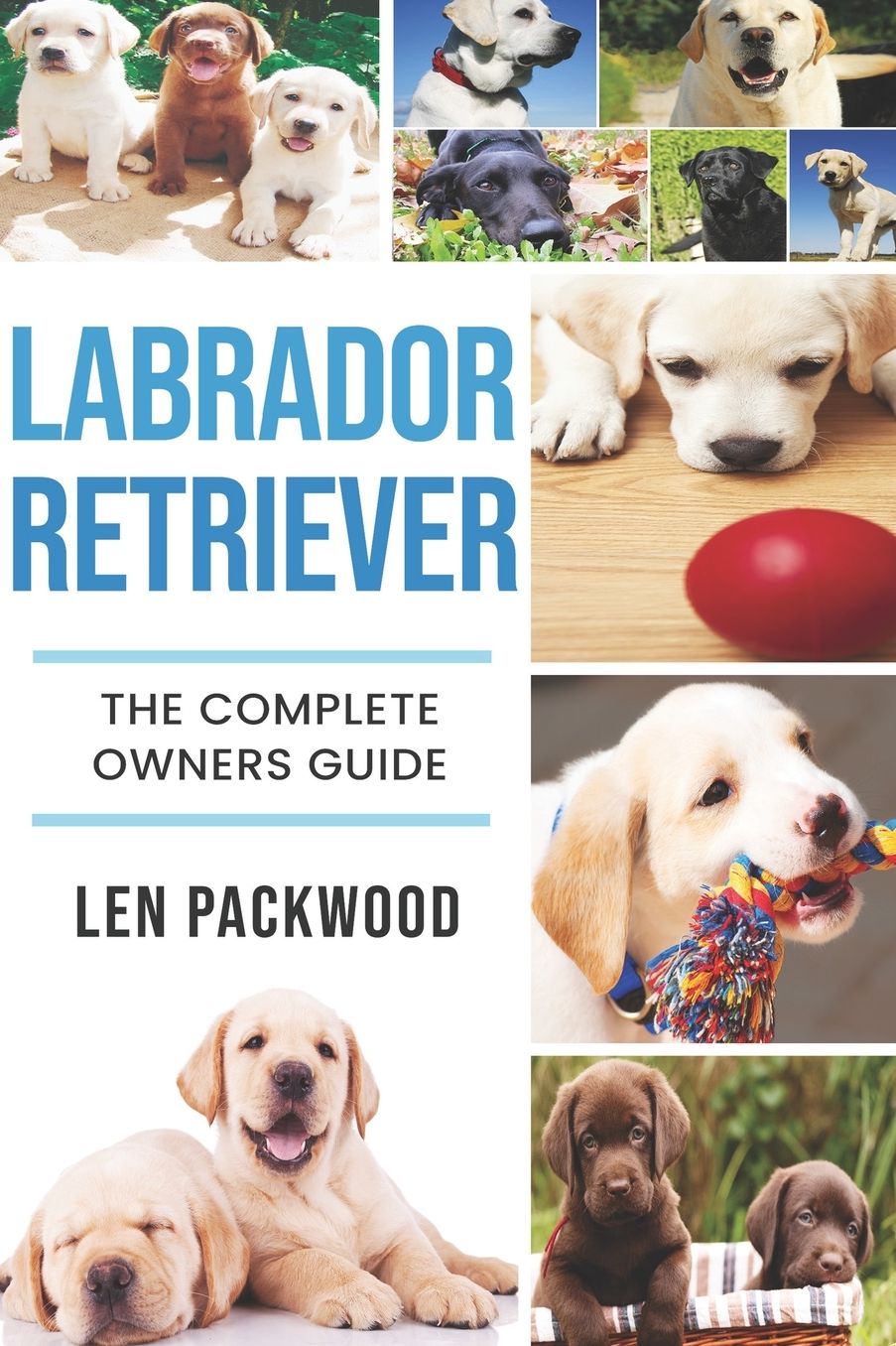 Labrador: The Complete Owners Guide