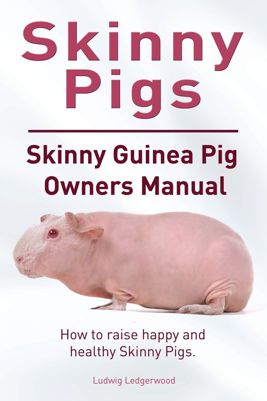 Skinny Pig. Skinny Guinea Pigs Owners Manual. How to raise happy and healthy Skinny Pigs.