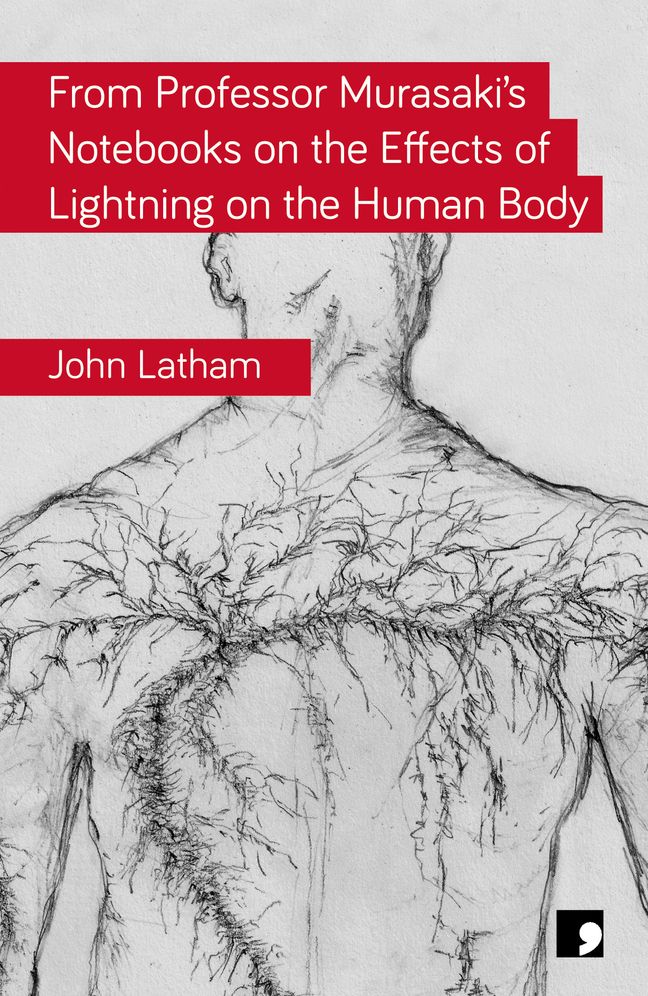 From Professor Murasaki's Notebooks on the Effects of Lightning on the Human Body