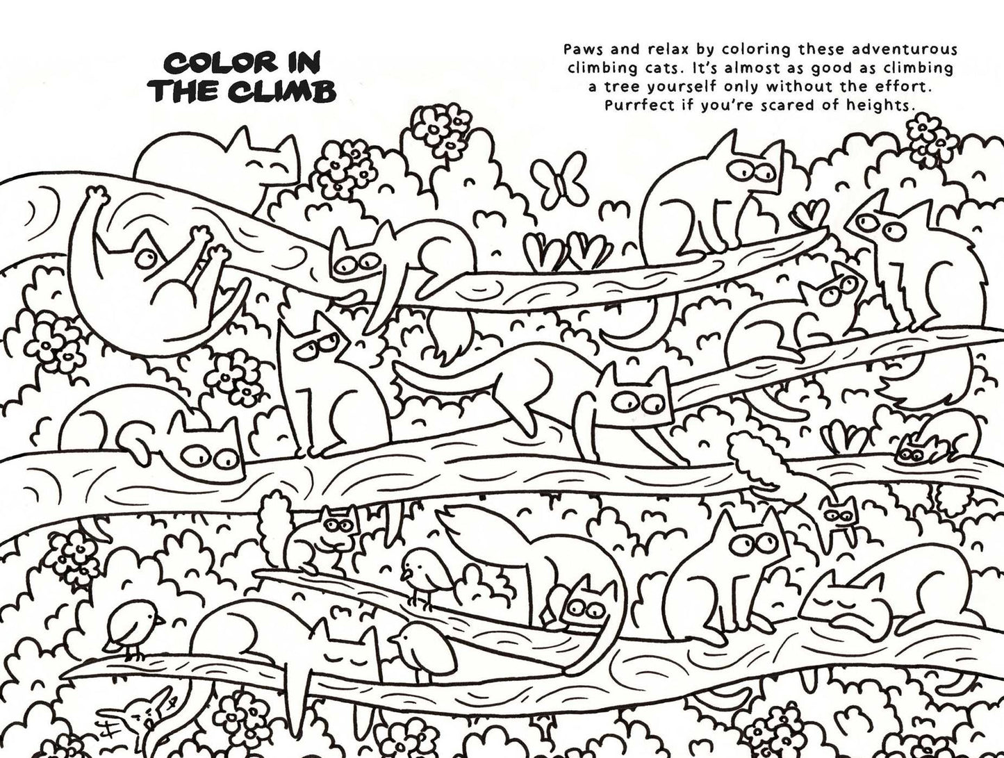 Mindfulness and Coloring for Cats: Be more cat with mantras and meditations to have you feline fine