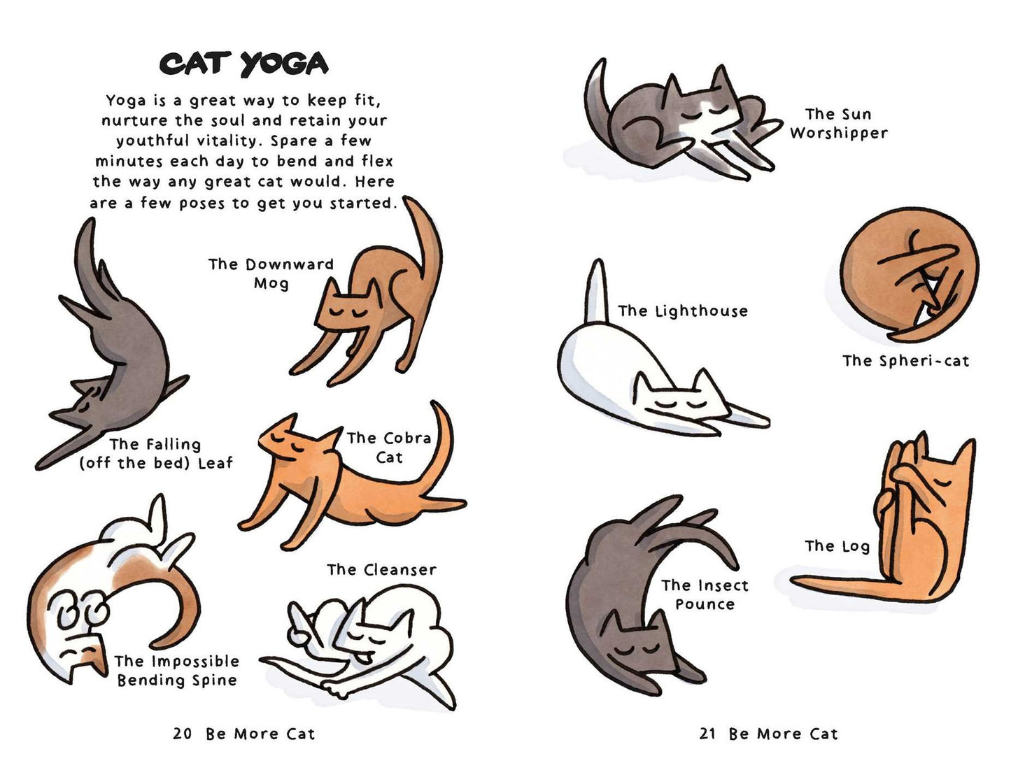Mindfulness and Coloring for Cats: Be more cat with mantras and meditations to have you feline fine