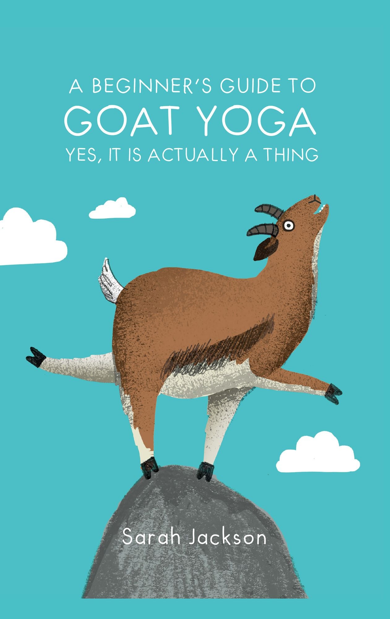 Beginner's Guide to Goat Yoga