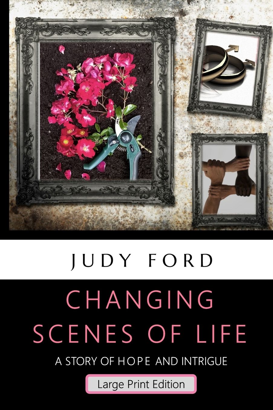 Changing Scenes of Life, Large Print Edition: A Story of Hope and Intrigue