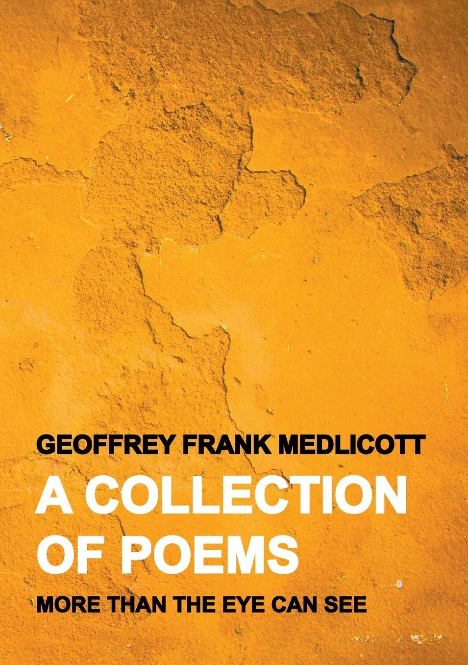 A Collection of Poems: More Than the Eye Can See