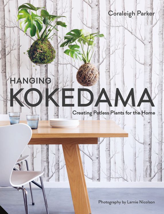 Hanging Kokedama: Creating Potless Plants for the Home