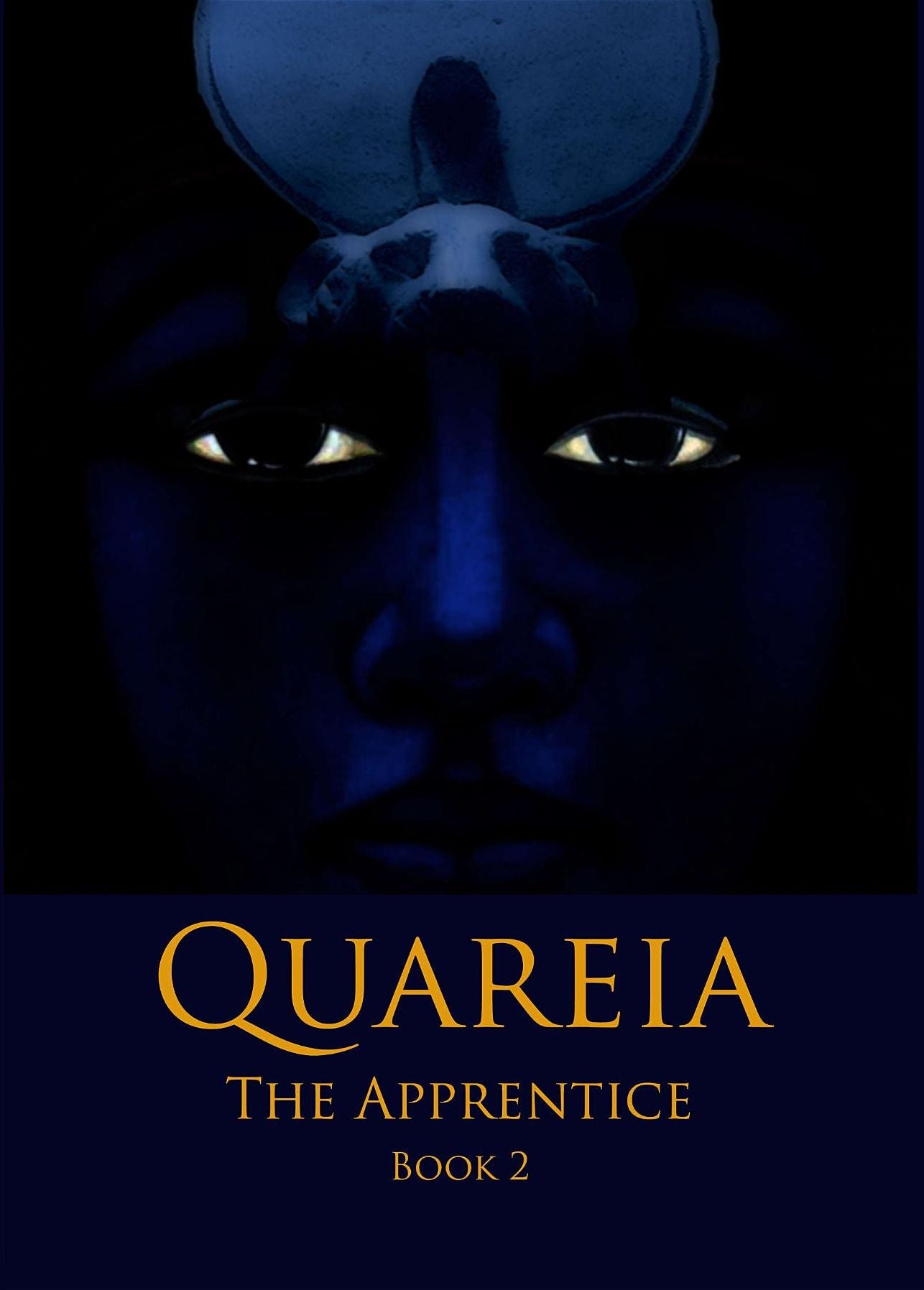 Quareia The Apprentice: Book Two