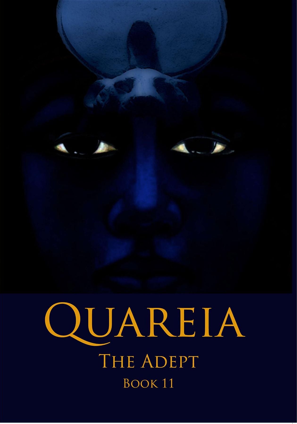 Quareia The Adept: Book Eleven