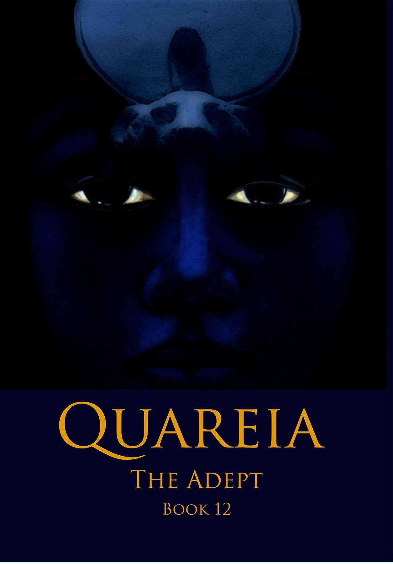 Quareia The Adept: Book Twelve