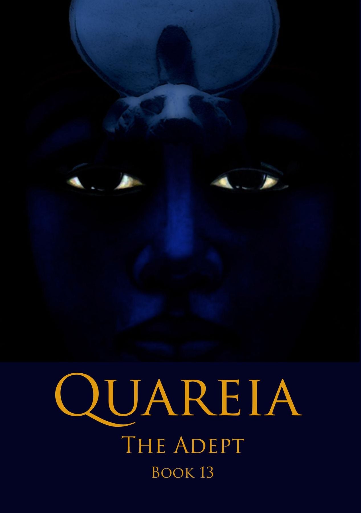 Quareia The Adept: Book Thirteen