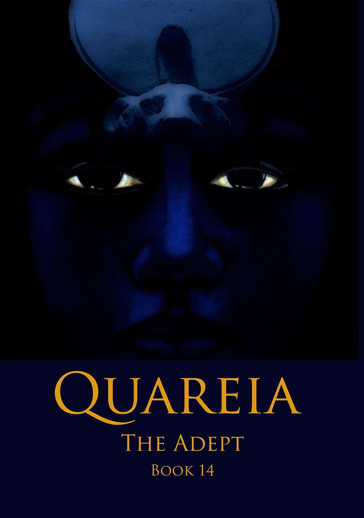 Quareia The Adept: Book Fourteen