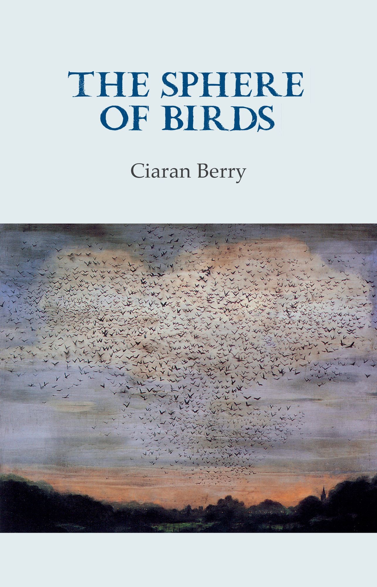 The Sphere of Birds