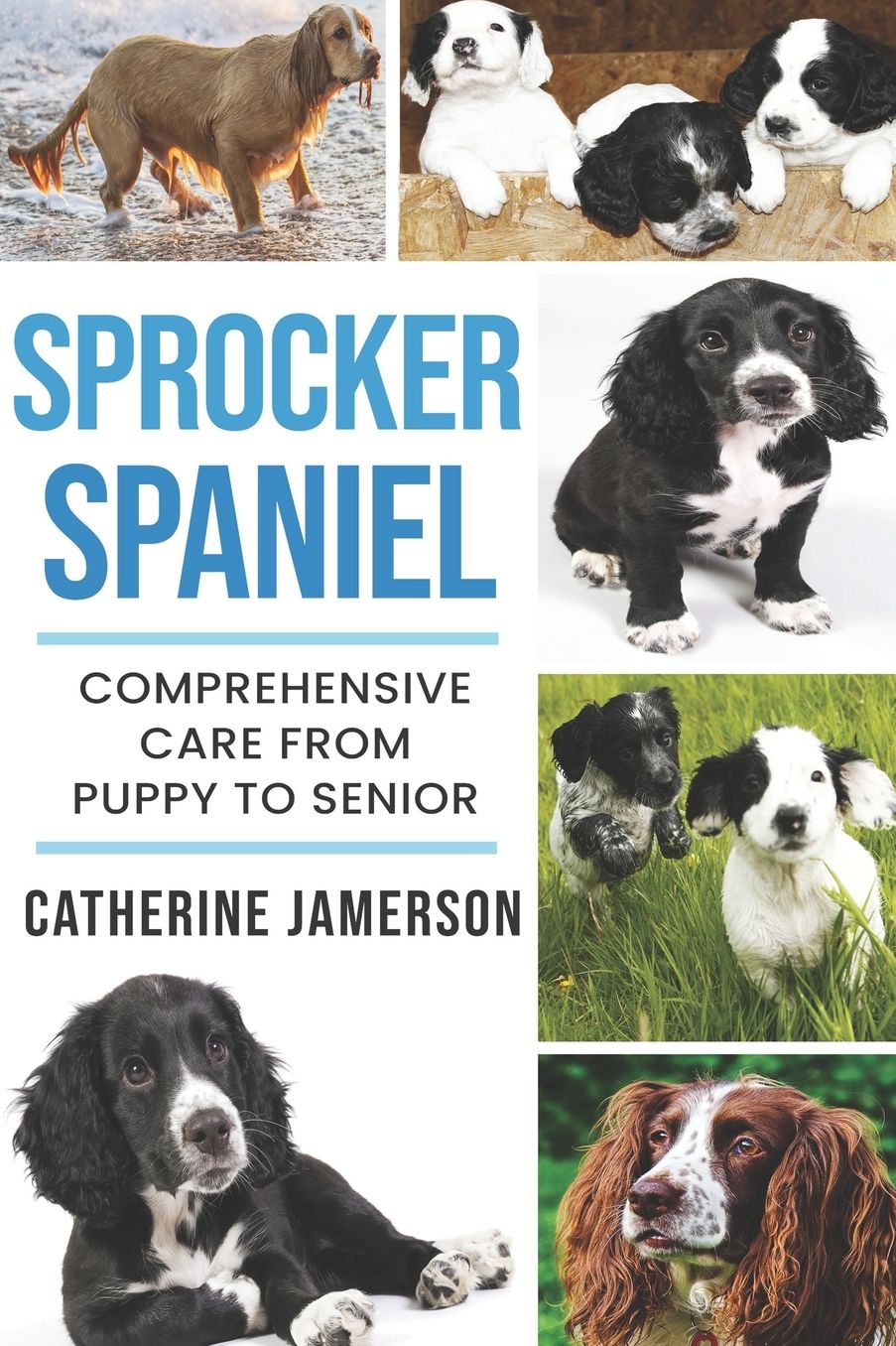Sprocker Spaniel: Comprehensive Care from Puppy to Senior; Care, Health, Training, Behaviour, Understanding, Grooming, Costs and much more