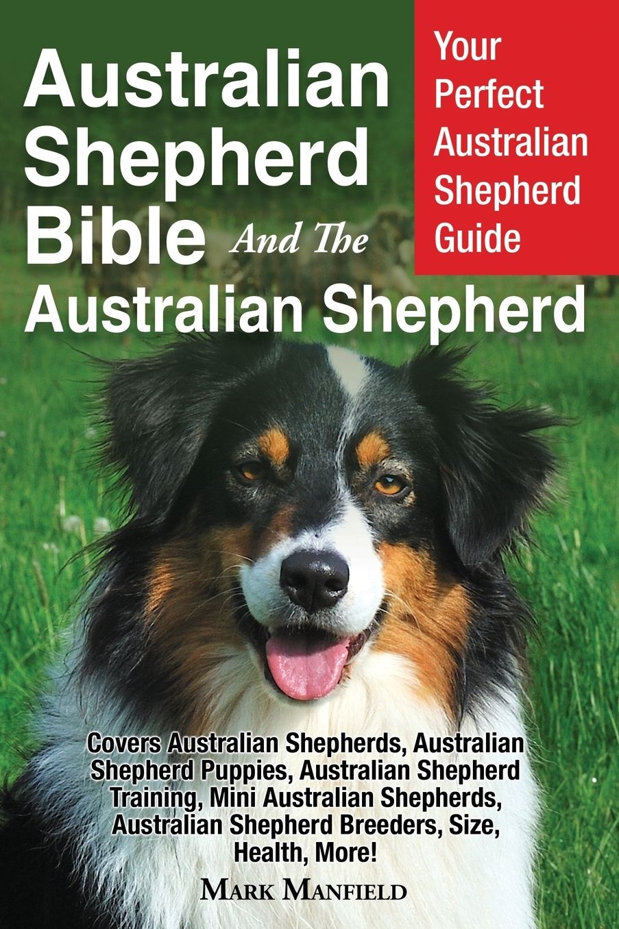 Australian Shepherd Bible And the Australian Shepherd: Your Perfect Australian Shepherd Guide Covers Australian Shepherds, Australian Shepherd Puppies, Australian Shepherd Training, Mini Australian Shepherds, Australian Shepherd Breeders, Size, Health, Mo