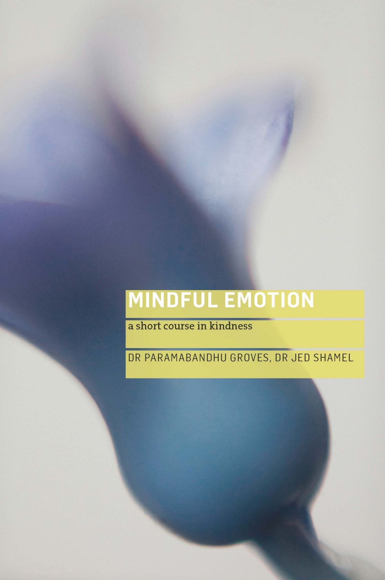 Mindful Emotion : A Short Course in Kindness