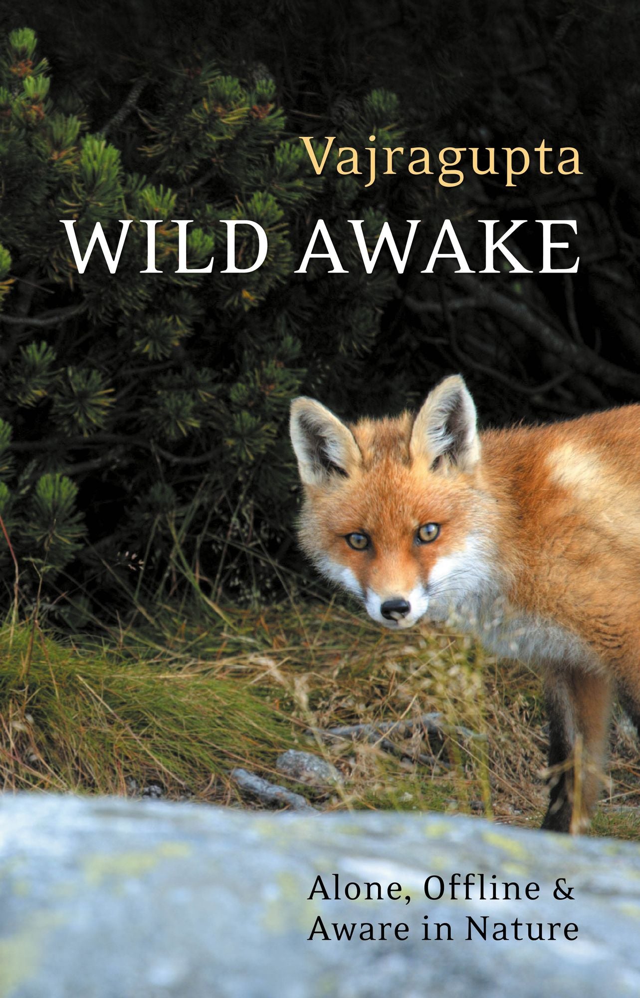 Wild Awake: Alone, Offline and Aware in Nature