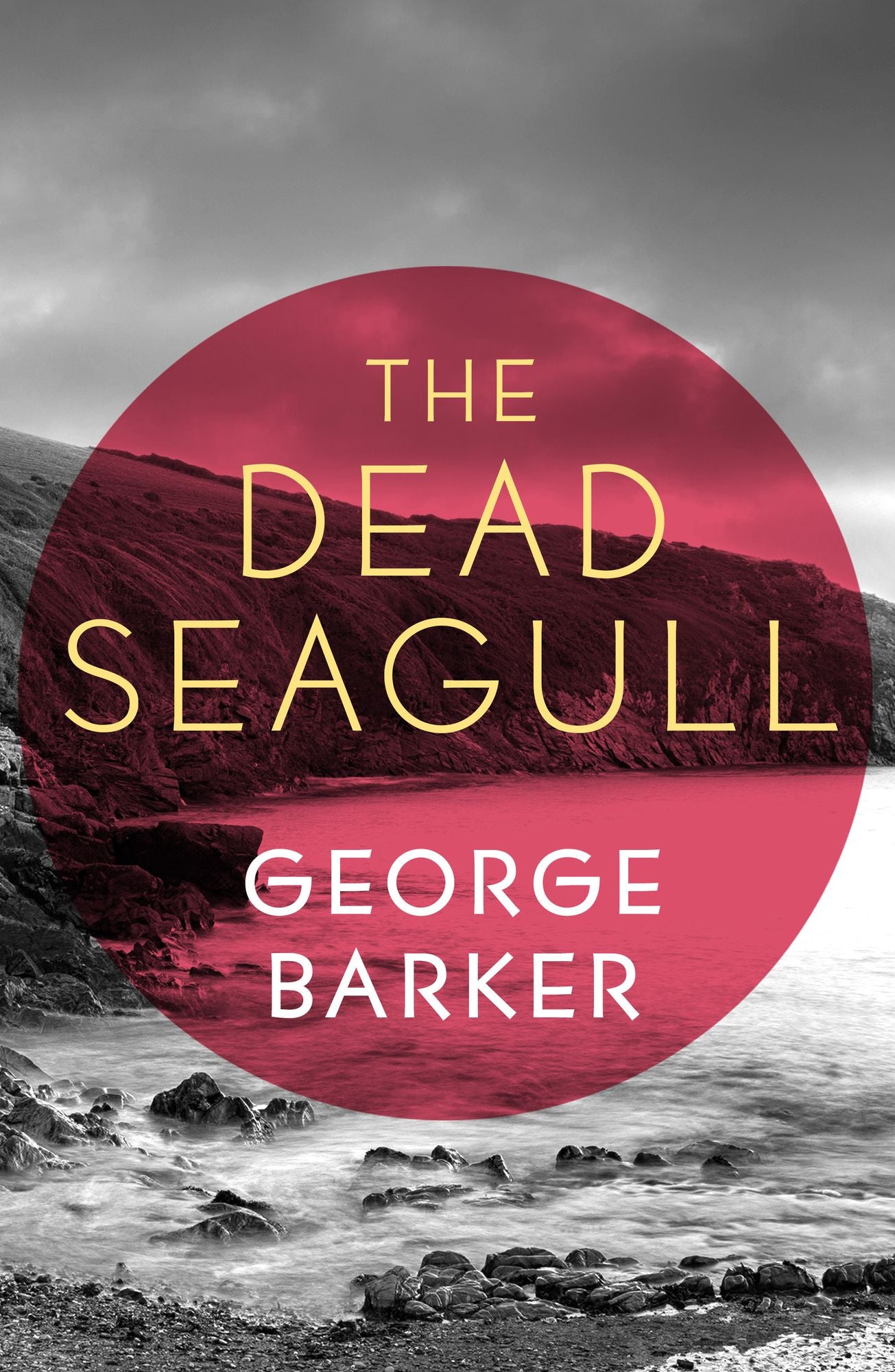 The Dead Seagull