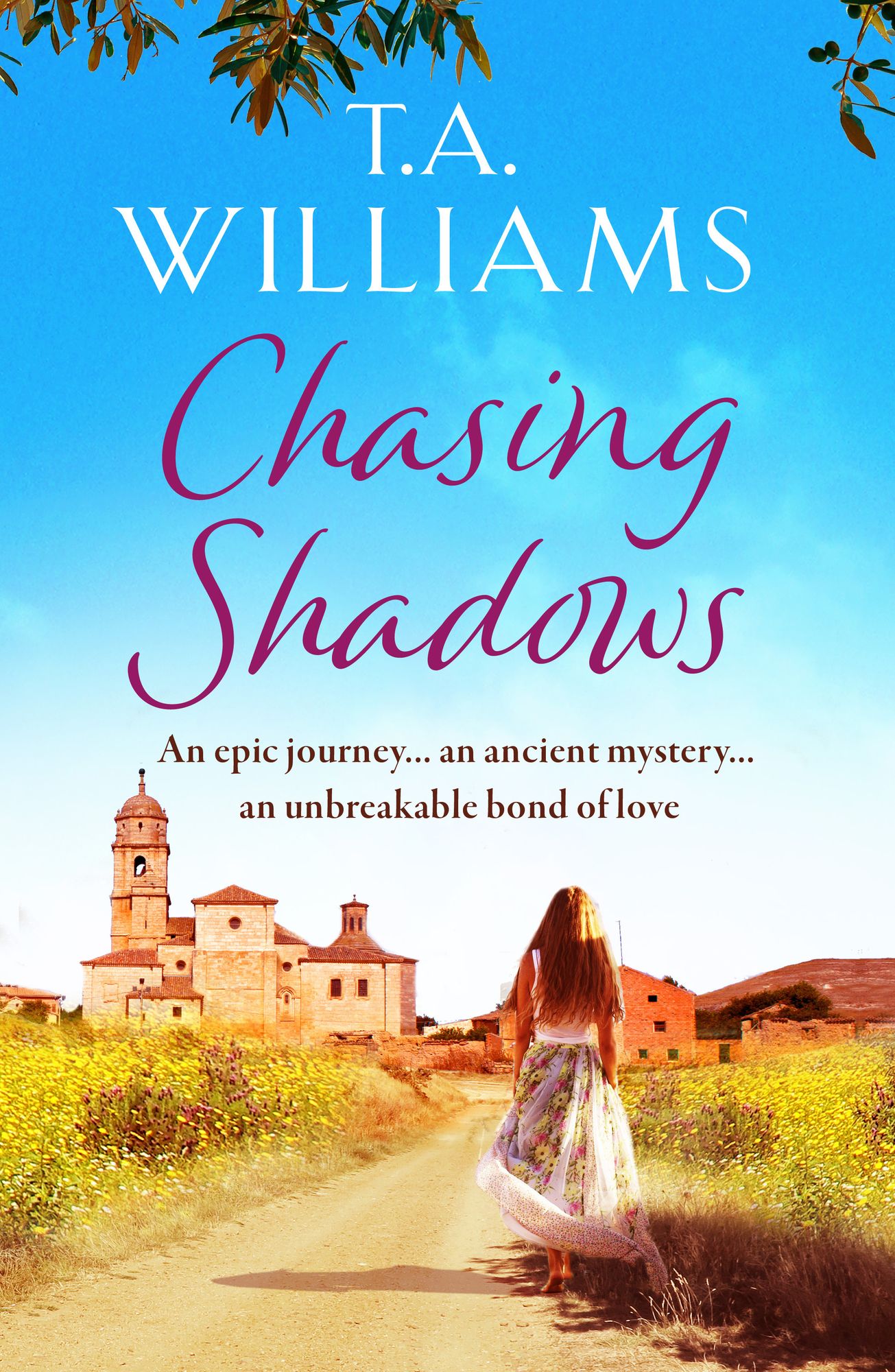 Chasing Shadows: An intriguing romance across the centuries