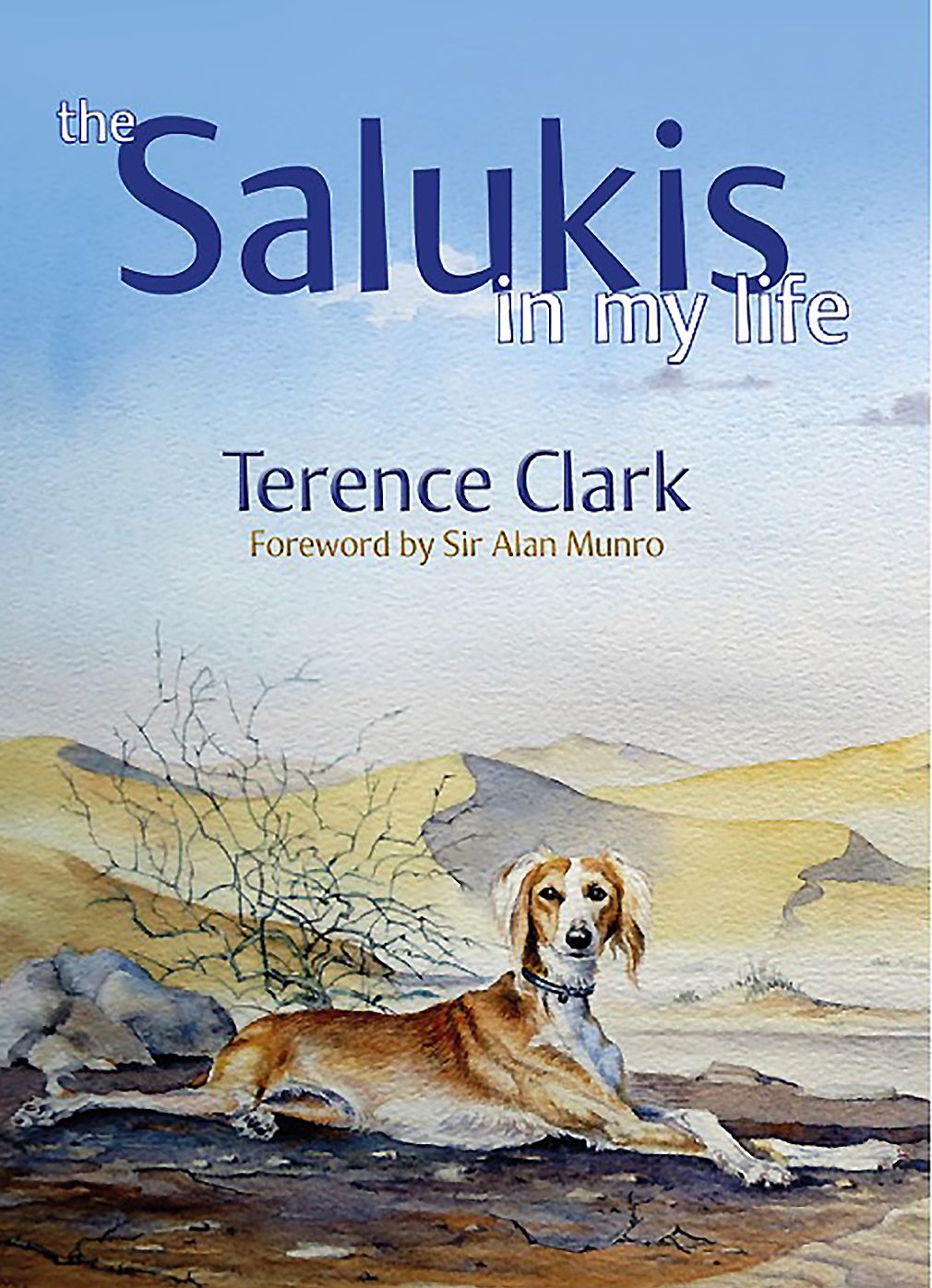 Salukis Here There and Everywhere