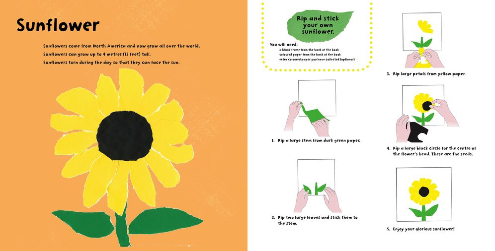 Rip & Stick Insects and Flowers