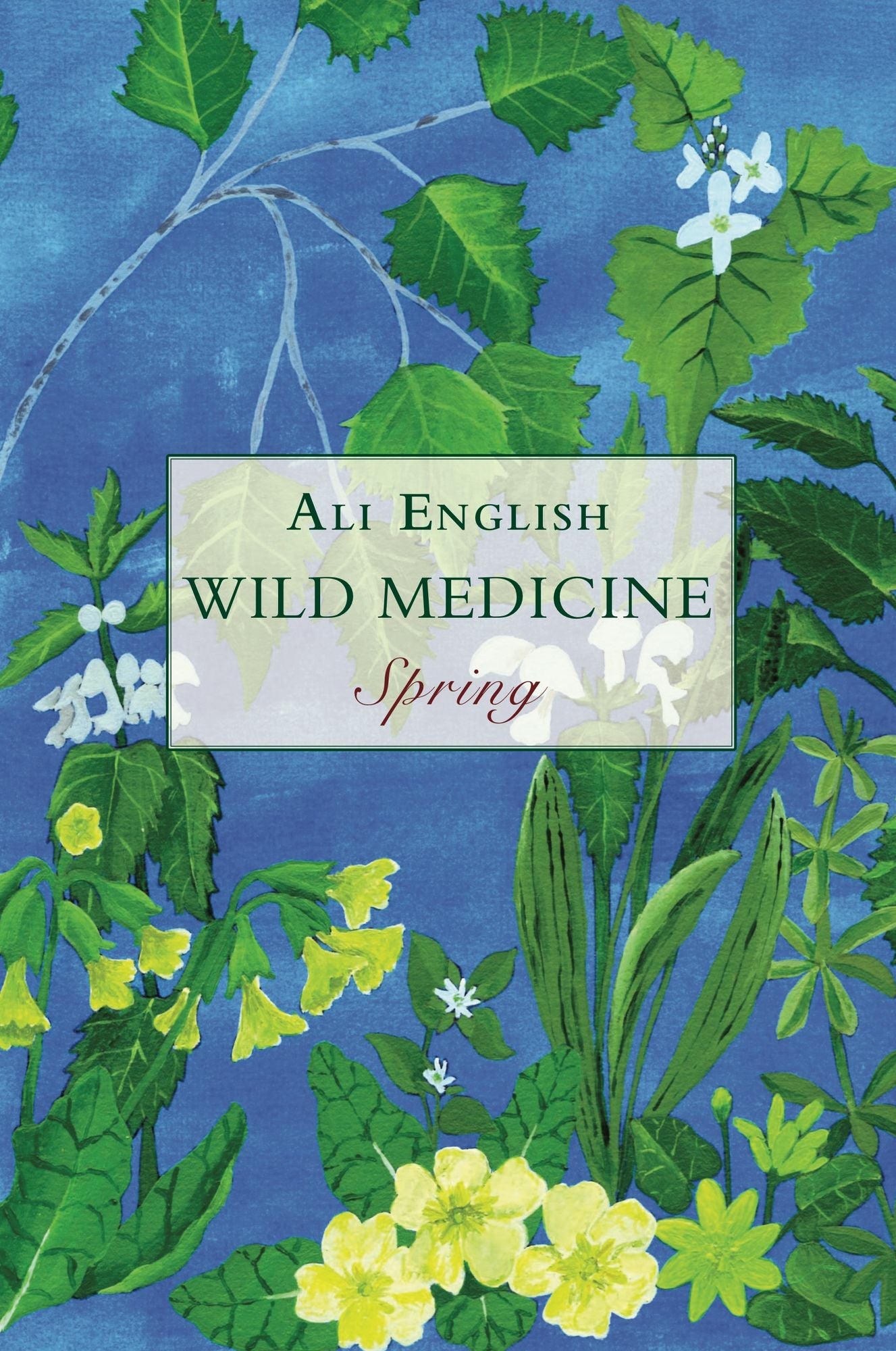 Wild Medicine : Spring