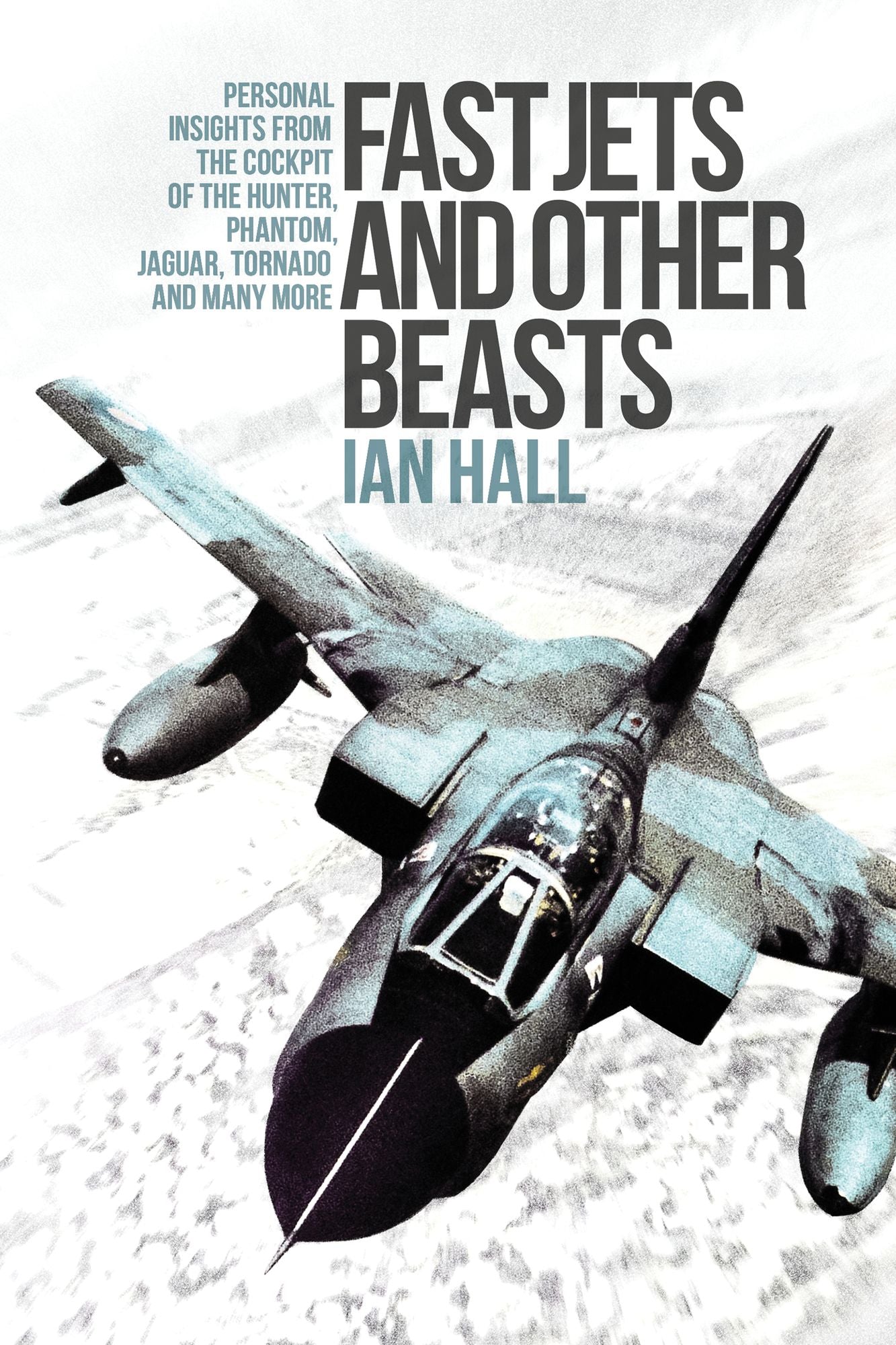 Fast Jets and Other Beasts: Personal Insights from the Cockpit of the Hunter, Phantom, Jaguar, Tornado and Many More