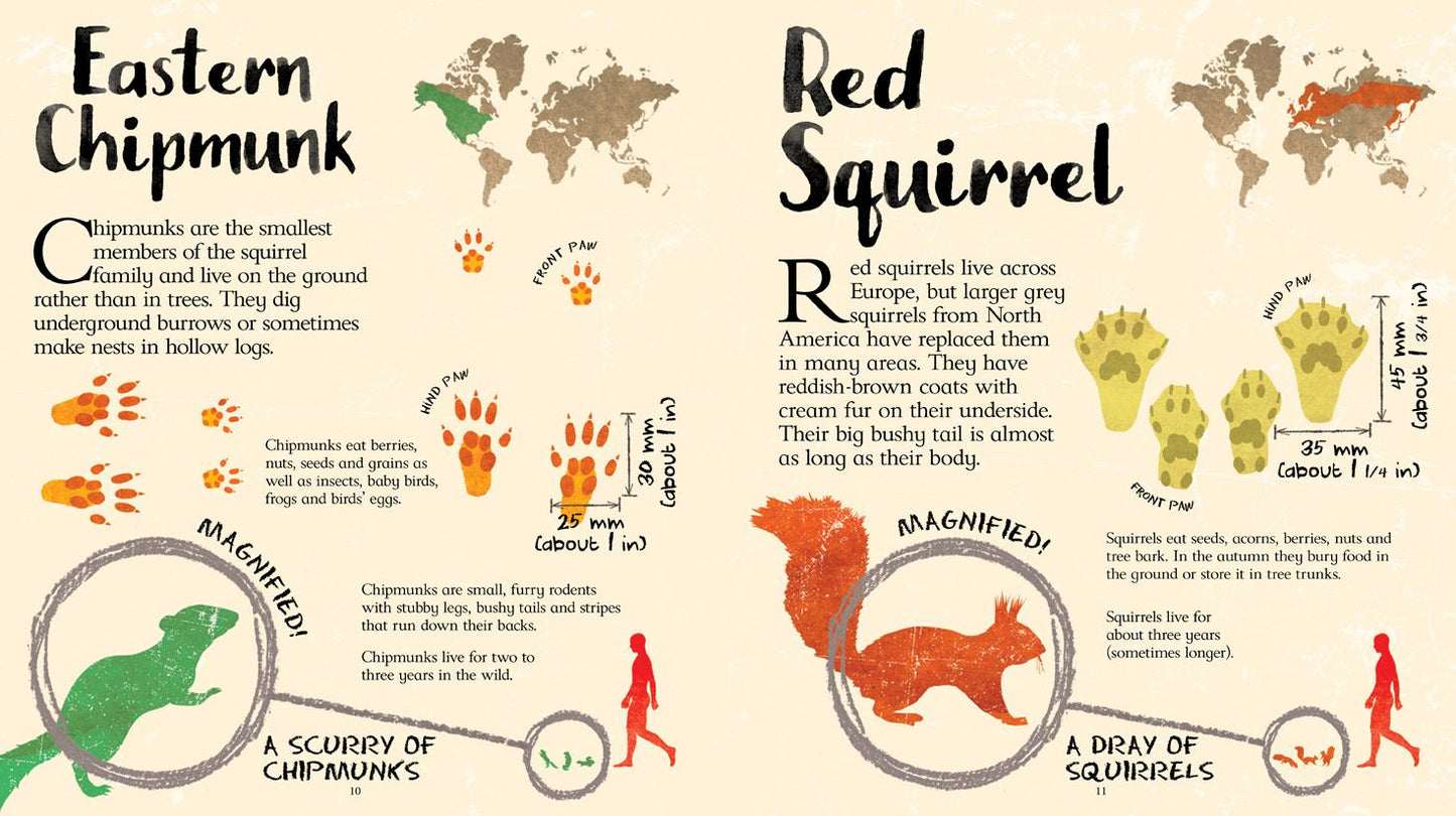 Life-Sized Animal Tracks
