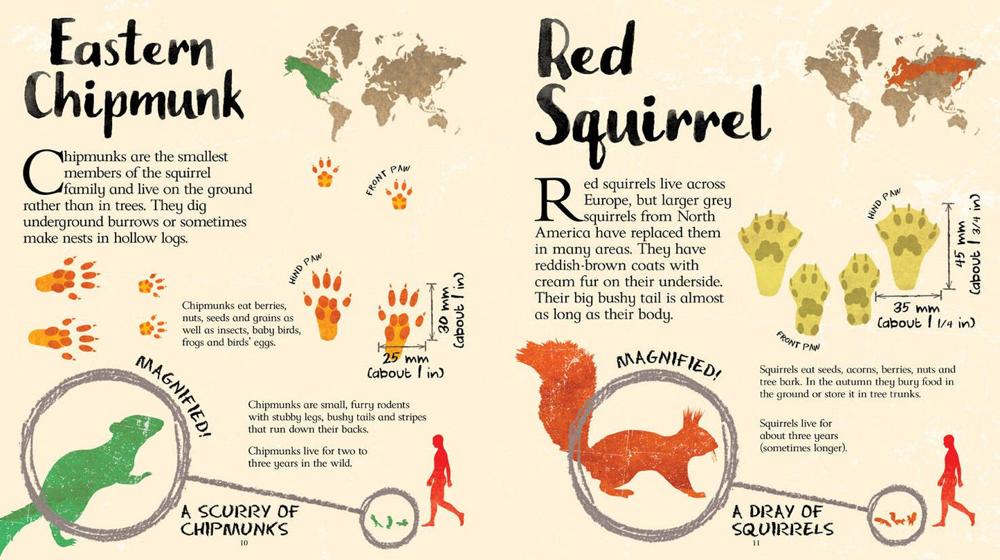 Life-Sized Animal Tracks