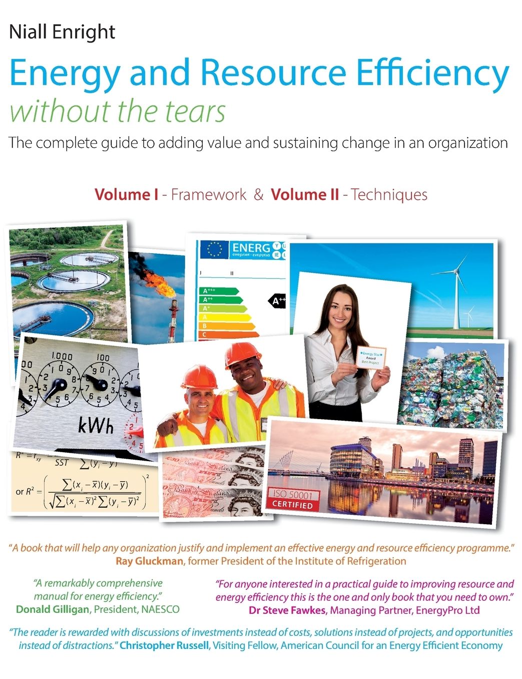 Energy and Resource Efficiency without the tears: The complete guide to to adding value and sustaining change in an organization.