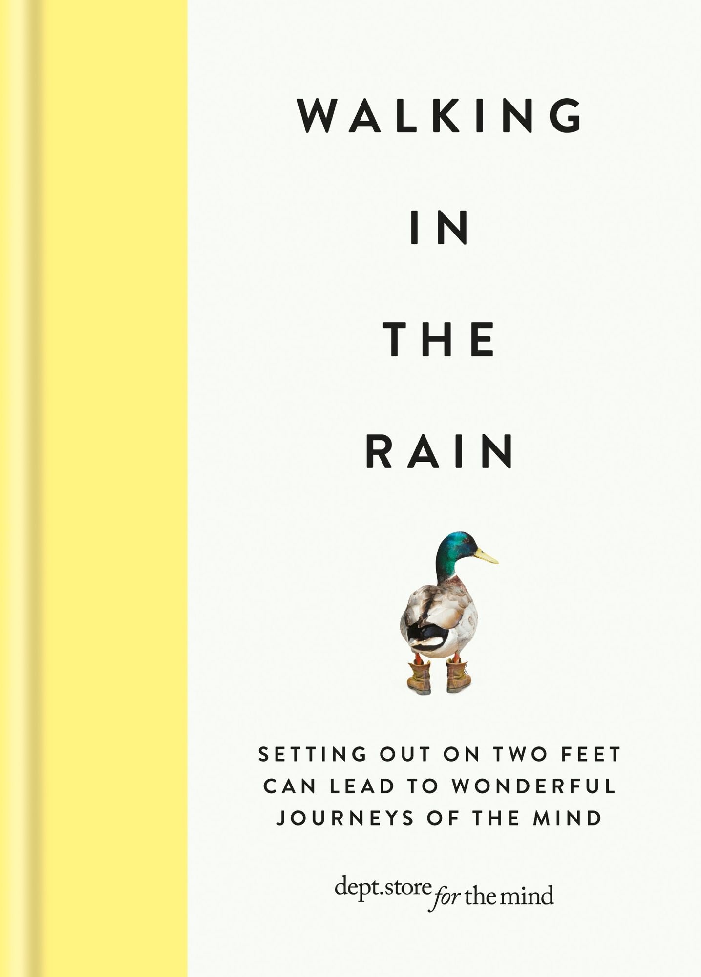 Walking in the Rain