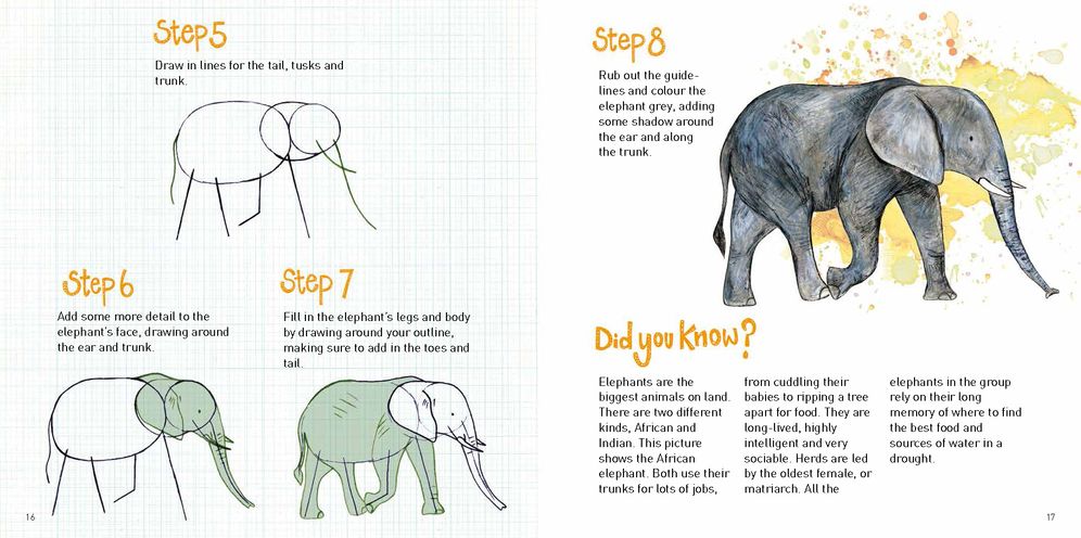Animal Surprises: How to Draw