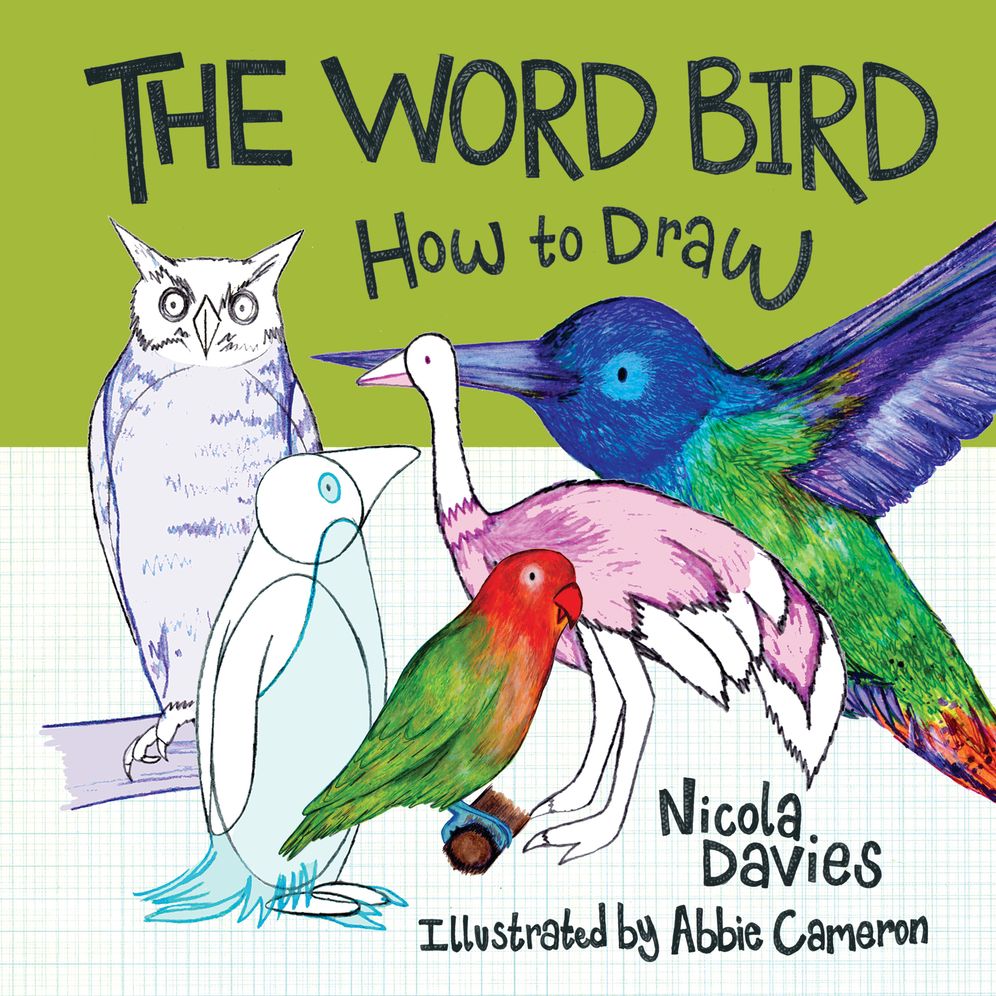 The Word Bird: How to Draw