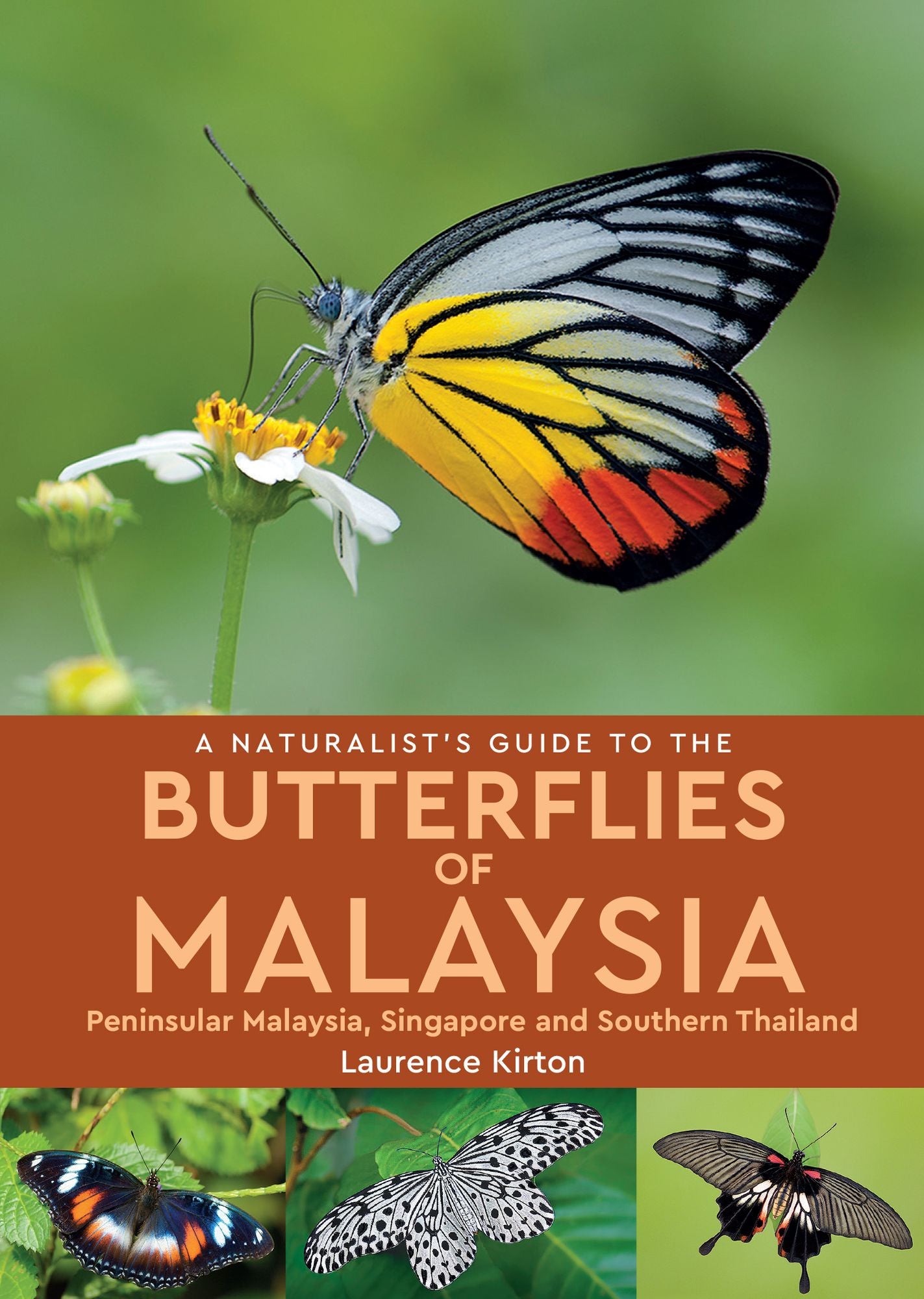 A Naturalist's Guide to the Butterflies of Malaysia