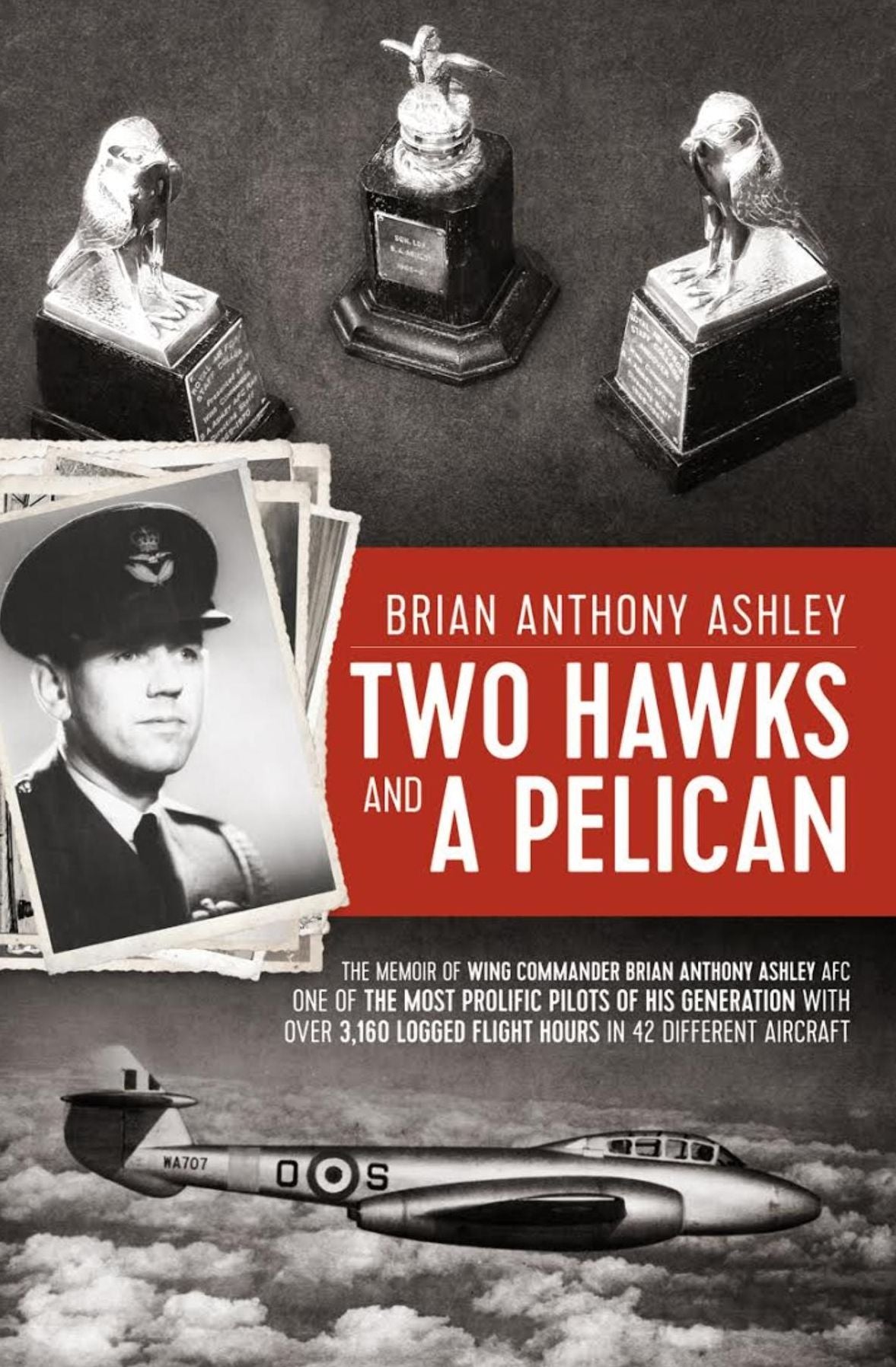 Two Hawks and a Pelican: The Memoir of Wing Commander Brain Anthony Ashley AFC (1928 - 2015)