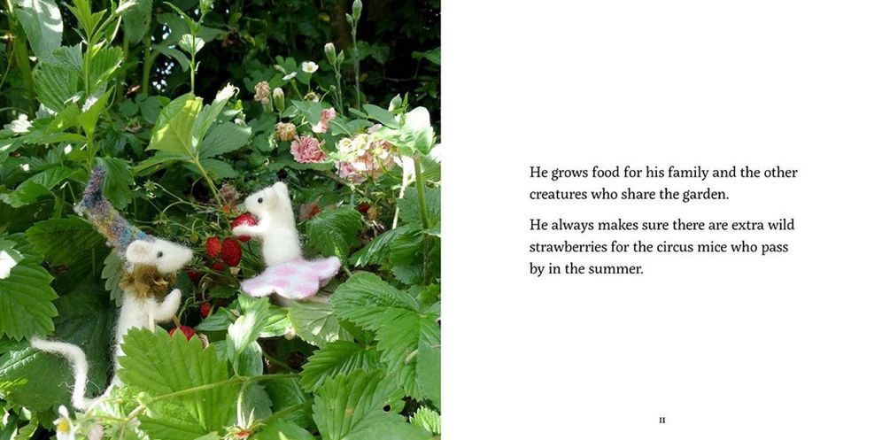 Bert's Garden