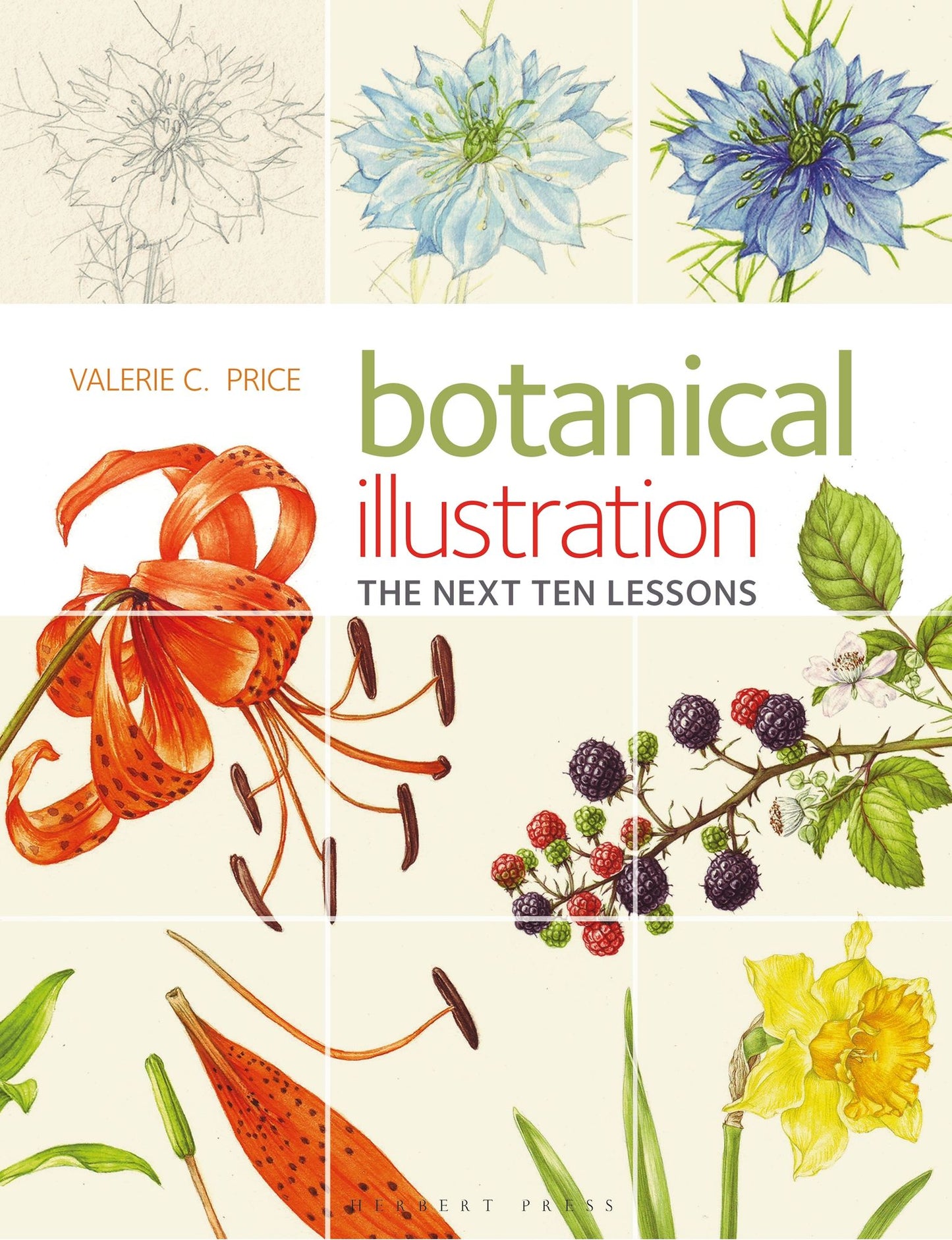 Botanical Illustration : The Next Ten Lessons: Colour and Compostion