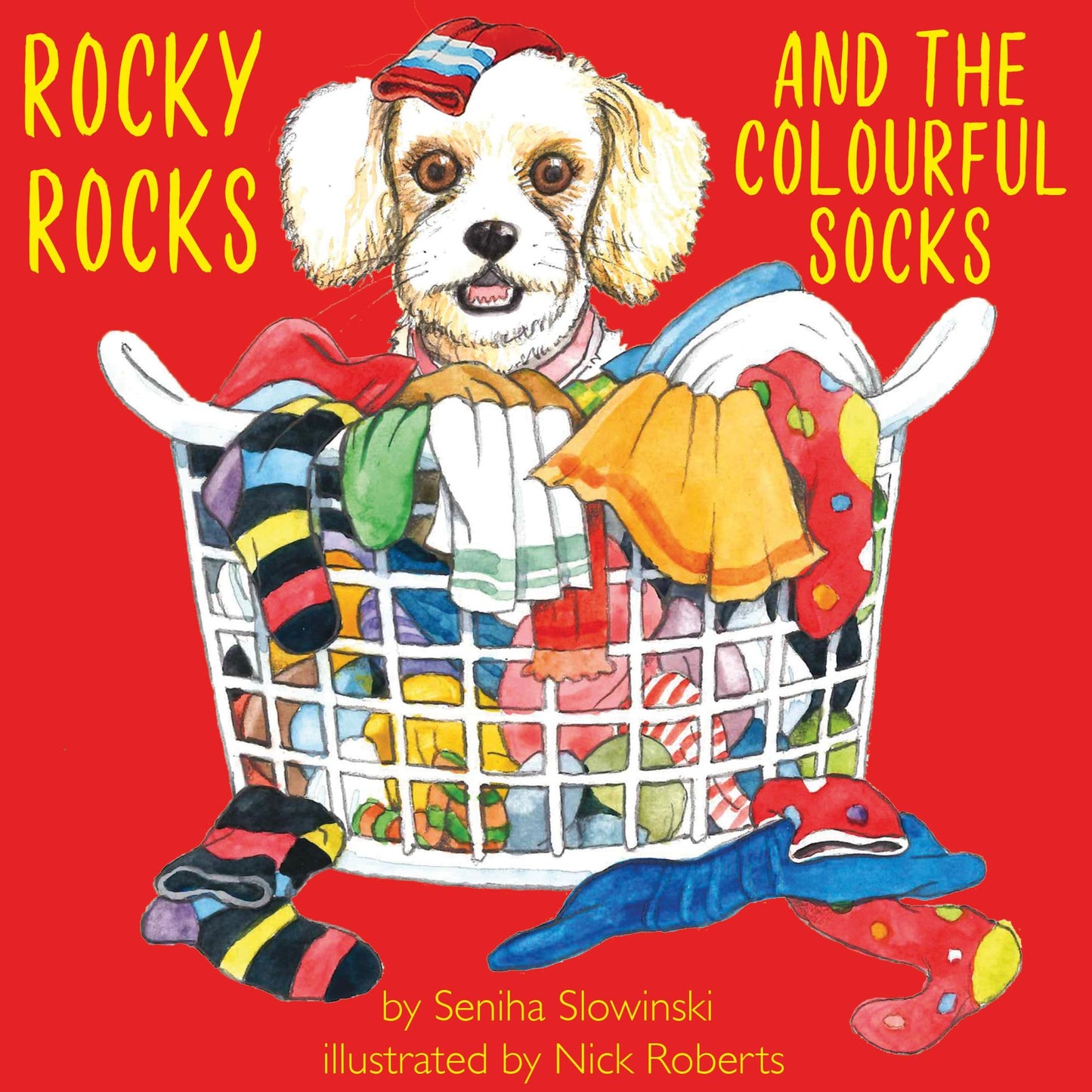 Rocky Rocks and the Colourful Socks