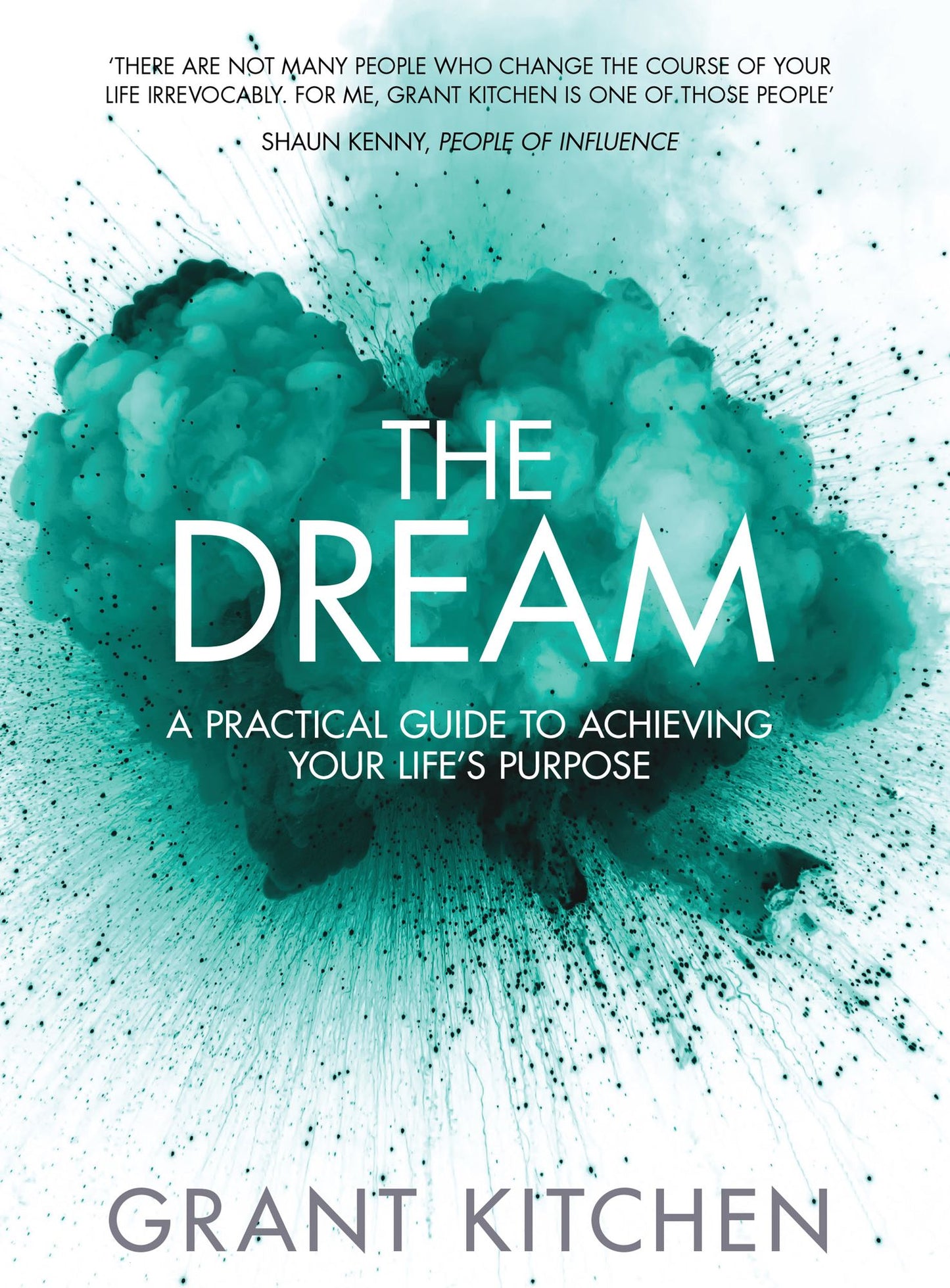 The Dream: A practical guide to achieving your life's purpose