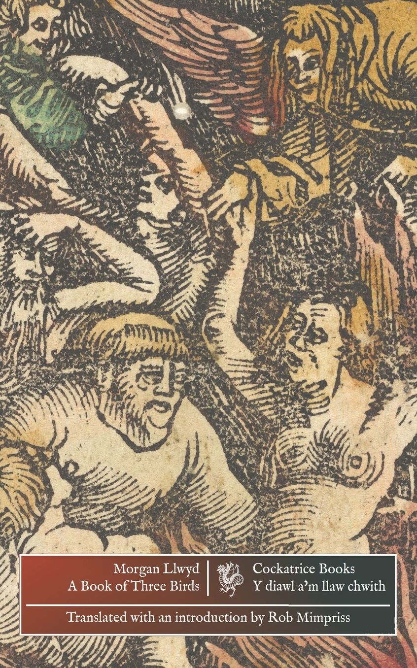 A Book of Three Birds