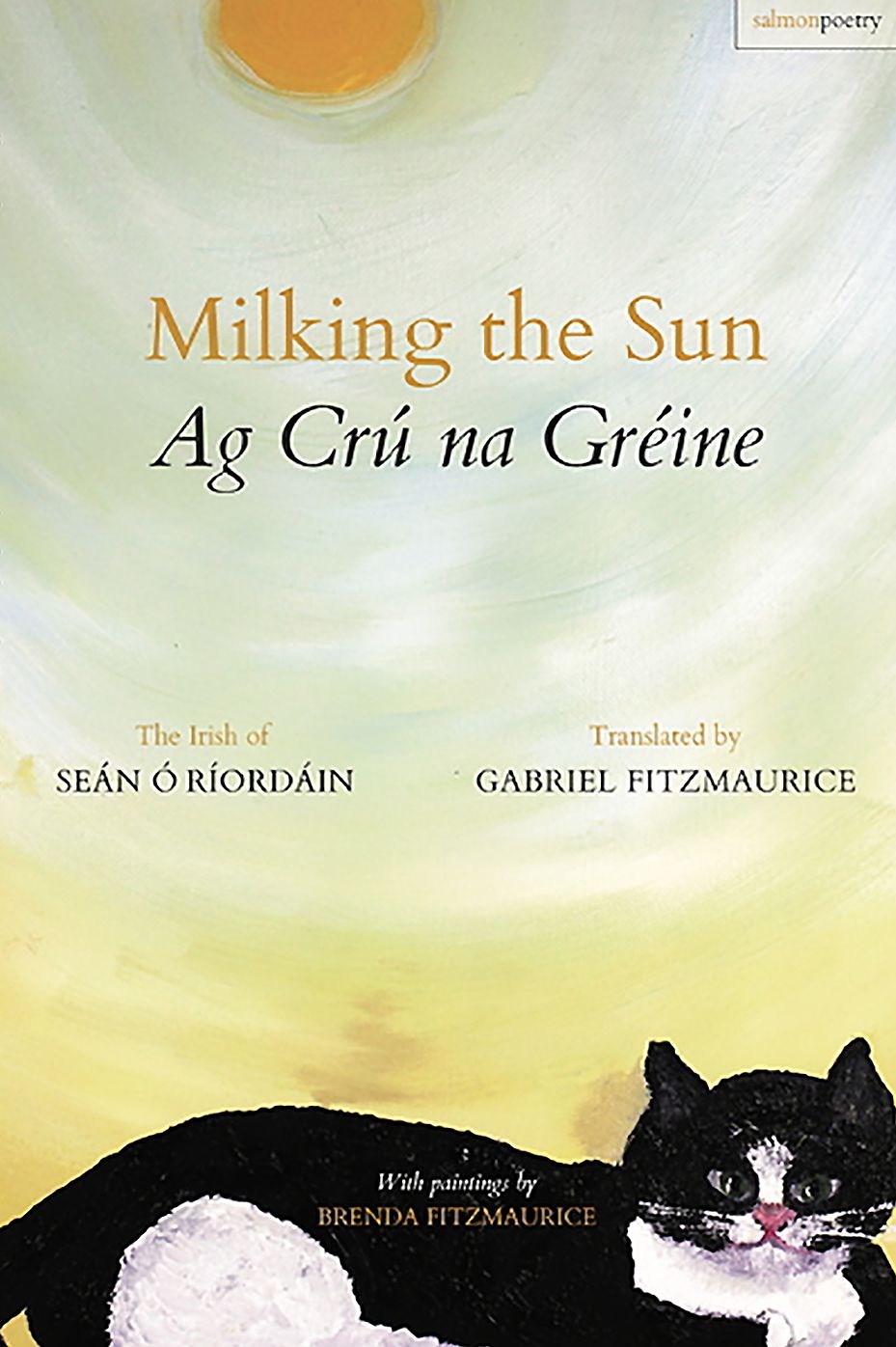 Milking the Sun / Ag Cru Na Greine : The Irish of Sean O'Riordain