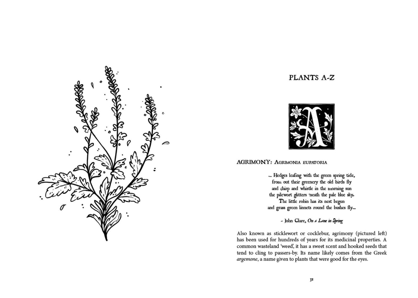Folk Magic and Healing : An Unusual History of Everyday Plants