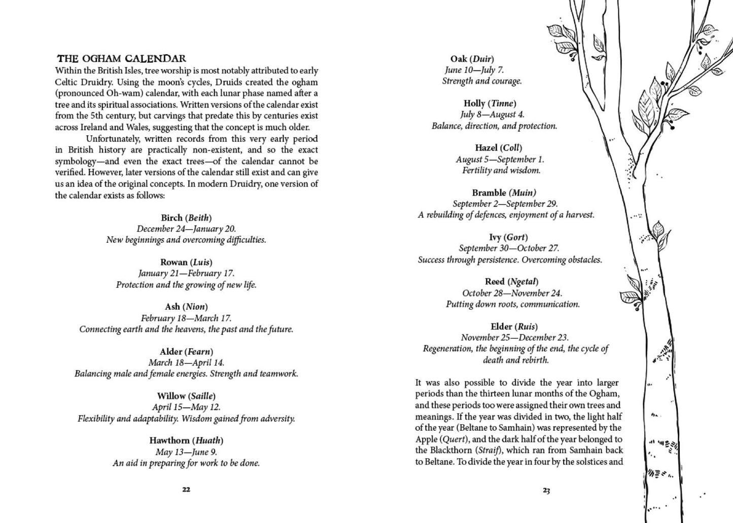 Folk Magic and Healing : An Unusual History of Everyday Plants