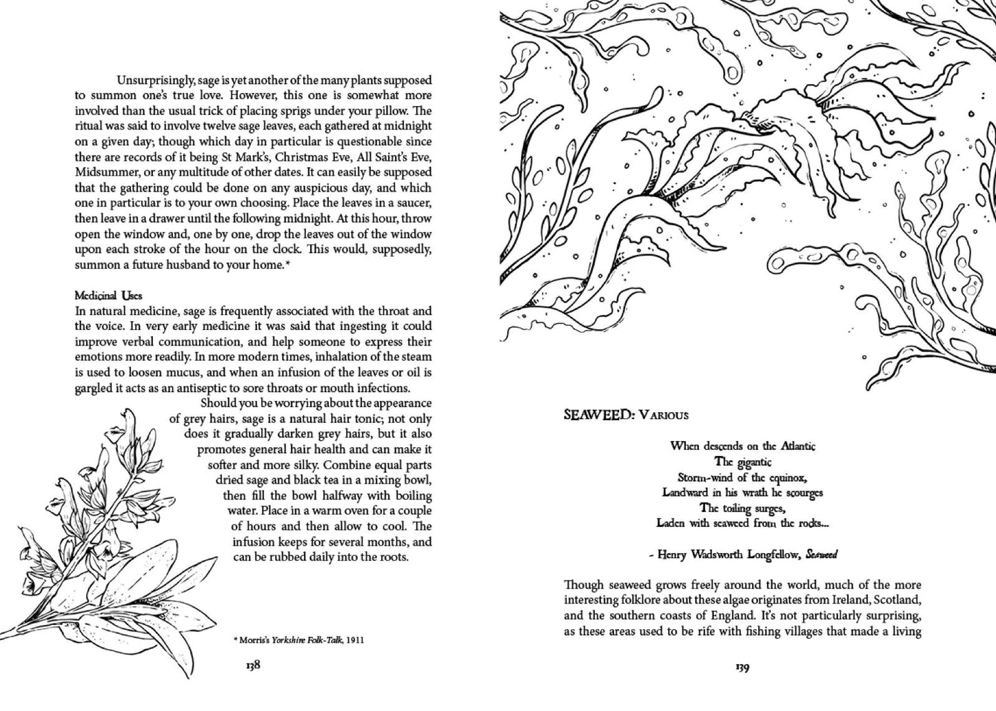 Folk Magic and Healing : An Unusual History of Everyday Plants