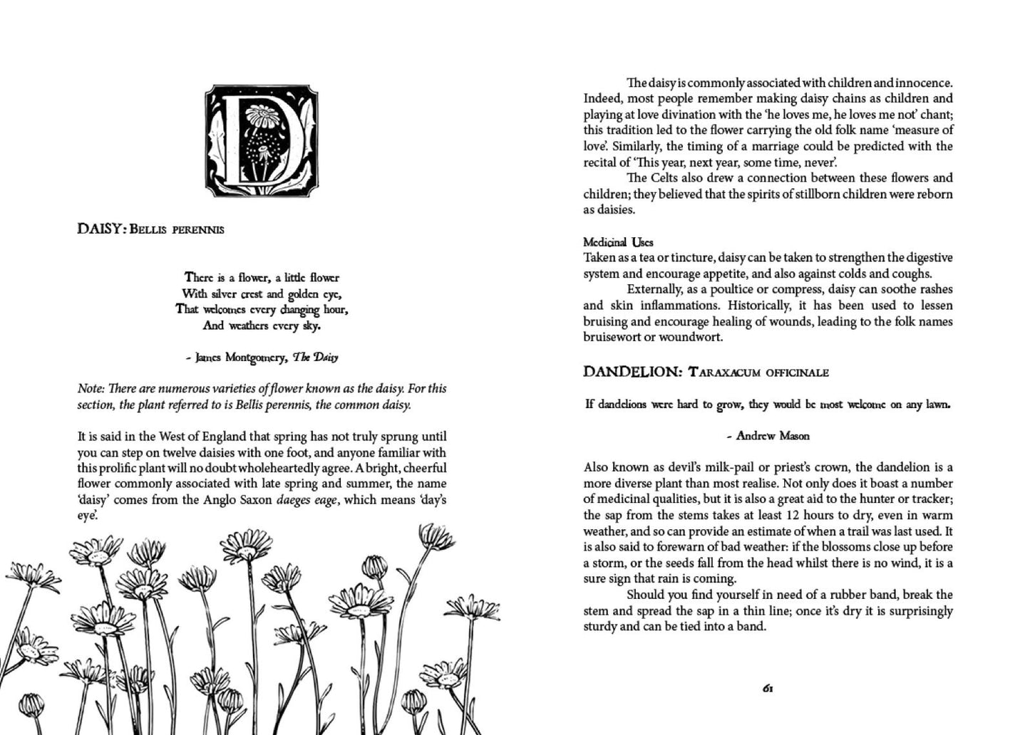 Folk Magic and Healing : An Unusual History of Everyday Plants