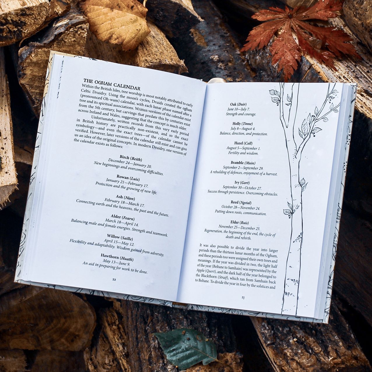 Folk Magic and Healing : An Unusual History of Everyday Plants